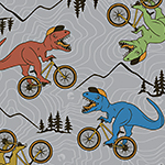image showing Coloroption Dino Biker