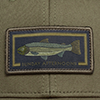 image showing Coloroption Steelhead
