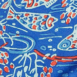 image showing Coloroption Wild River